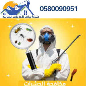  شركة مكافحة حشرات بتبوك