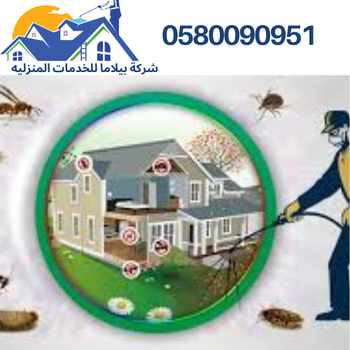 شركة مكافحة حشرات بتبوك