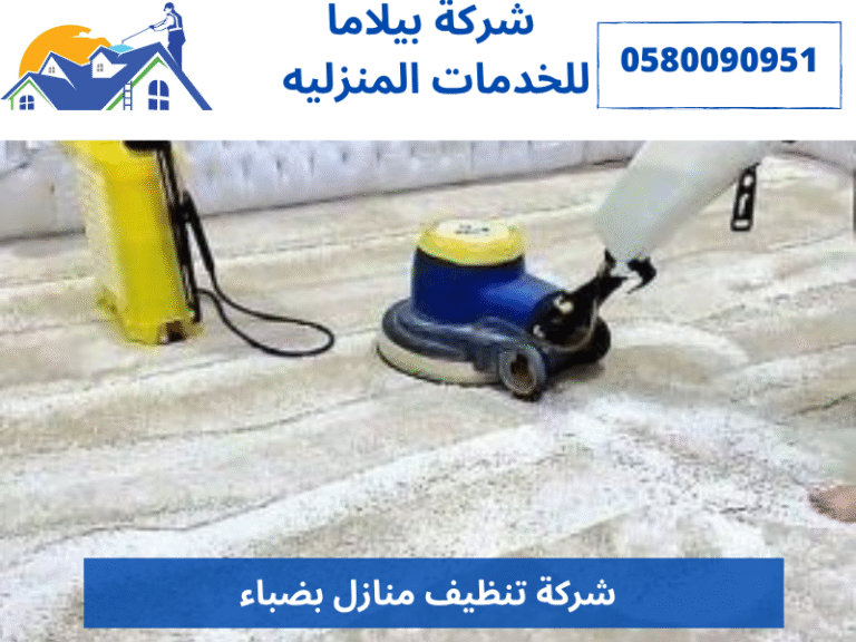 شركة تنظيف منازل بضباء