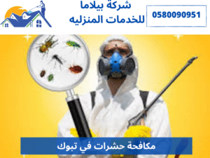 مكافحة حشرات في تبوك