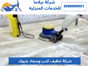 شركة تنظيف كنب وسجاد بتبوك