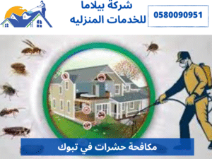 مكافحة حشرات في تبوك