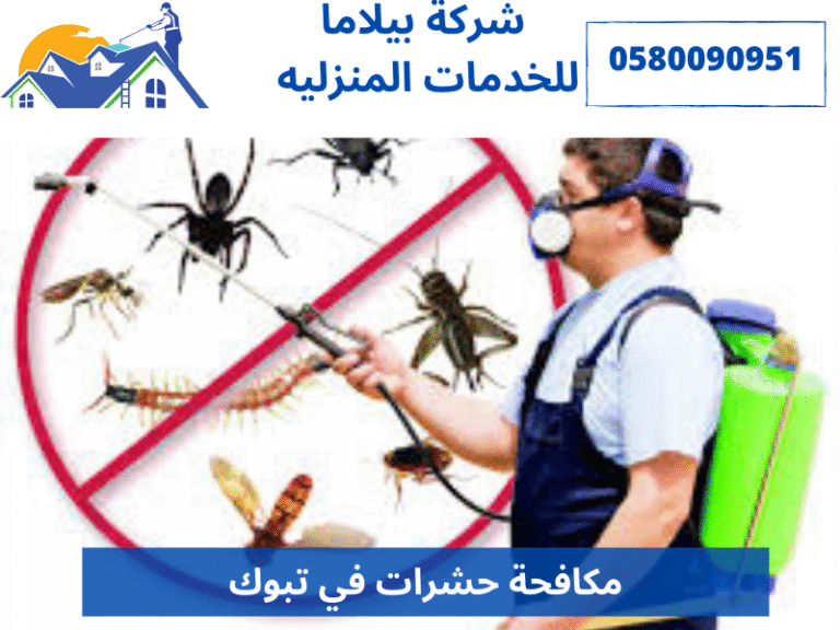 مكافحة حشرات في تبوك